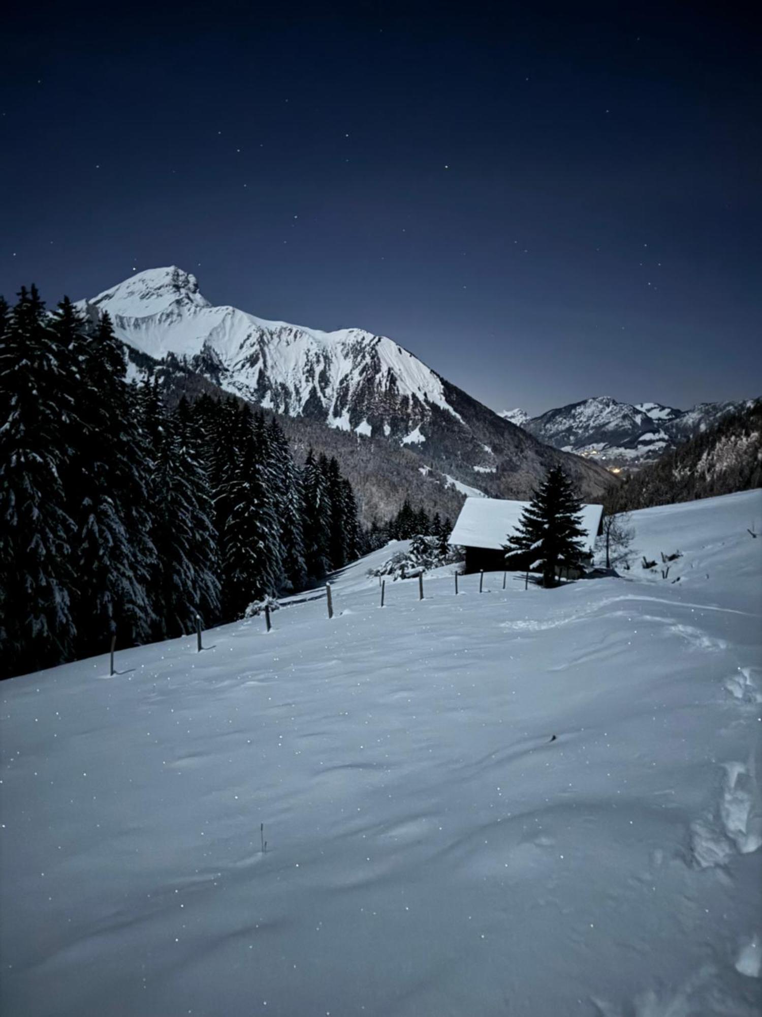 Charming, Cosy Chalet Nestled In A Breathtaking Surrounding With Spectacular, Stunning Mountain Views Abondance Zewnętrze zdjęcie
